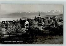 8942 Oberrieden - Oberrieden gegen Alpen