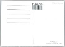 9658 Wildhaus Foto AK Lütispitz