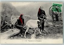 1874 Champéry 1911 - Bauernfrauen mit Ziege