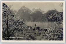 6452 Sisikon - Urirotstock