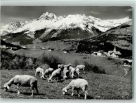 7133 Obersaxen Affeier - Affeier/Egga