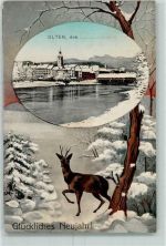 4600 Olten - Winter Neujahr Reh Passepartout
