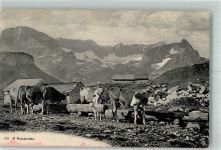 Anzeindaz Foto AK Ziege Rinderherde