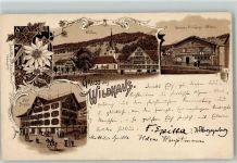 9658 Wildhaus 1897 Lithographie Gruss aus Hotel Hirschen AK
