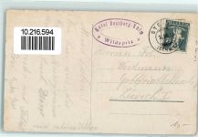 Wildspitz 1913 - Hotel Rossberg Kulm