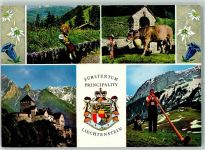 9490 Vaduz - Schloss Vaduz mit Falknis Nationalfahrten Alpabfahrt