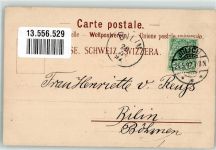 6354 Vitznau 1897 Lithographie Flora Alpina