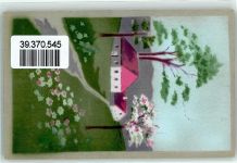 Uzwil Feldpost Phila Schweiz 1919