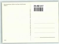 3906 Saas-Fee - Mischabelhütten