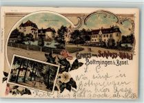 4103 Bottmingen 1898 BOAKC Lithographie Schloss Hotel Schloss Allee