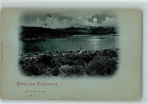 8820 Wädenswil 1898 Mondschein