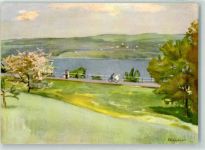 5705 Hallwil Künstlerkarte sign. P. Eichenberger See