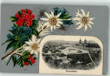 8840 Einsiedeln 1913 Prägedruck Edelweiß Enzian Lithographie