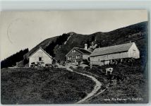 Hochalp - Alp Kenner Kühe