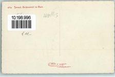 3920 Zermatt - Heidenstadel im Furri