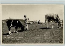 Suchet - Hirte mit Kuhherde