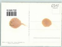 6315 Oberägeri Gebrauchsspuren Fliegeraufnahme