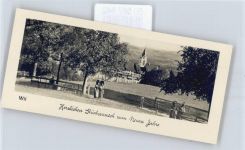 9500 Wil SG - Neujahr , Mini-AK