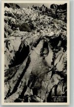 Grindelwald 1930 Foto AK Eis- Höhle Oberer Gletscher