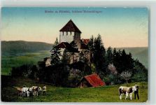 8260 Stein am Rhein 1912 - Schloss Hohenklingen Ochsen am Karren