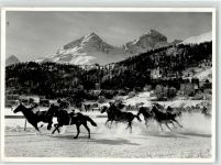 7500 St. Moritz - Winter Piz Albana Julier Pferderennen