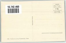 6375 Beckenried Foto AK Alter Nußbaum