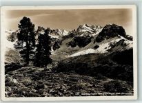 Tamangur - Stariexgruppe