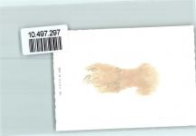 8717 Benken SG 1939 FOTO KEINE AK Grußkarte Kirche Foto 10cm x 7cm, rückseitig Haftspuren