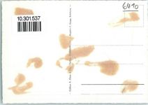 6410 Goldau Gebrauchsspuren Fliegeraufnahme Mythen