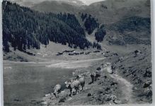 7250 Klosters - Pension Jägerstübli Erika, Schlappin