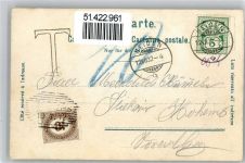 9410 Heiden 1902 Lithographie Werdstrasse