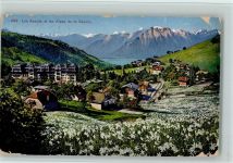1833 Les Avants - Les Alpes de la Savoie blühende Narzissen