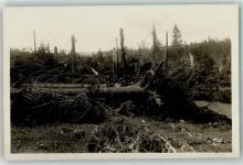 2345 Les Breuleux - Bäume Sturm Wurzeln Unwetter