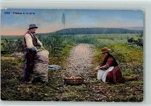 Kartoffelernte Fideles a la terre