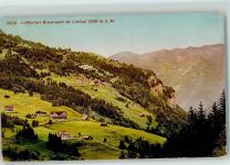 8784 Braunwald