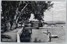 8330 Pfäffikon ZH - Bootsnalger, Schwan