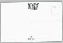 8330 Pfäffikon ZH - Bootsnalger, Schwan