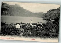 6454 Flüelen Foto AK