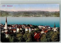 8820 Wädenswil 1914 Foto AK