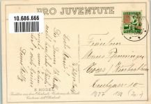 8156 Oberhasli 1924 Lithographie Tracht sign. Hodel Pro Juventute