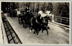 8800 Thalwil Foto AK Zweispänner Festschmuck Kutscher Zylinder Ort handschriftlich