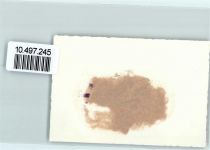 2400 Le Locle FOTO KEINE AK Neujahr Winter Kirchturm Foto 10cm x 7cm, rückseitig Haftspuren