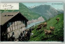 6440 Vierwaldstättersee 1904 Gebrauchsspuren Alp Bauern mit Kuhherde