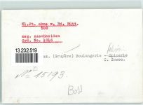 1632 Riaz FOTO KEINE AK Restaurant Croix Blanche