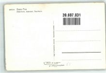 3906 Saas-Fee Foto AK Winter Allalinhorn Alphubel Foto Gyger