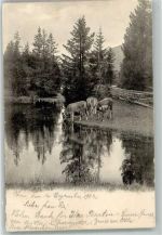 3600 Thun 1902 Foto AK Ort lt. Stempel