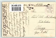 9423 Altenrhein Foto AK Schwanenkolonie Feldpost