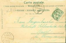 AK mit gepresstem Edelweiß mit echten Blumen