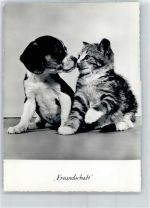 8620 Wetzikon ZH - Freundschaft Hund und Katze