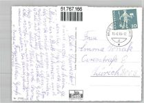 8620 Wetzikon ZH - Freundschaft Hund und Katze